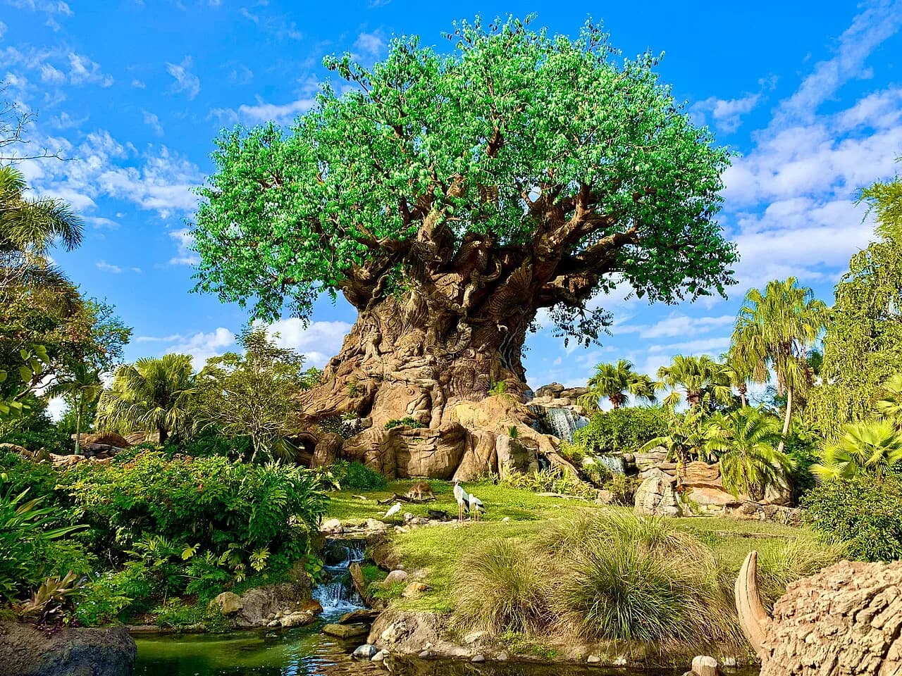 Animal Kingdom with Kids: A 2026 Guide to Rides, Shows, and Timing