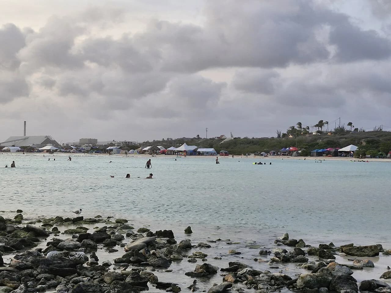 7 Best Aruba Beaches for Kids in 2026 (Family Guide)