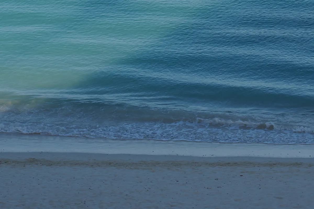 Aruba with Toddlers: A 2026 Guide to Calm Beaches and Easy Logistics