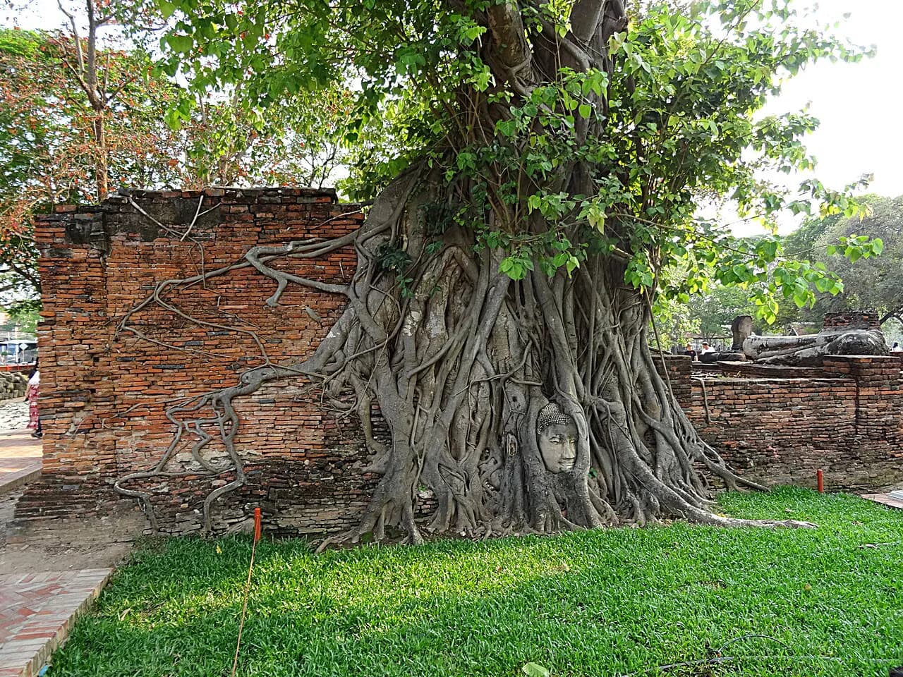 Ayutthaya Day Trip With Kids From Bangkok: A 2026 Family Itinerary