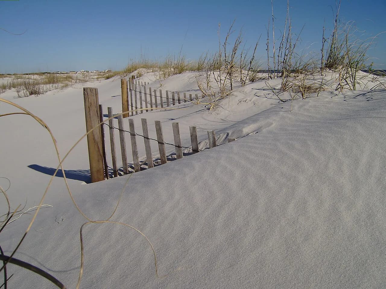 6 Best Gulf Coast Beaches for Families: 2026 Vacation Guide