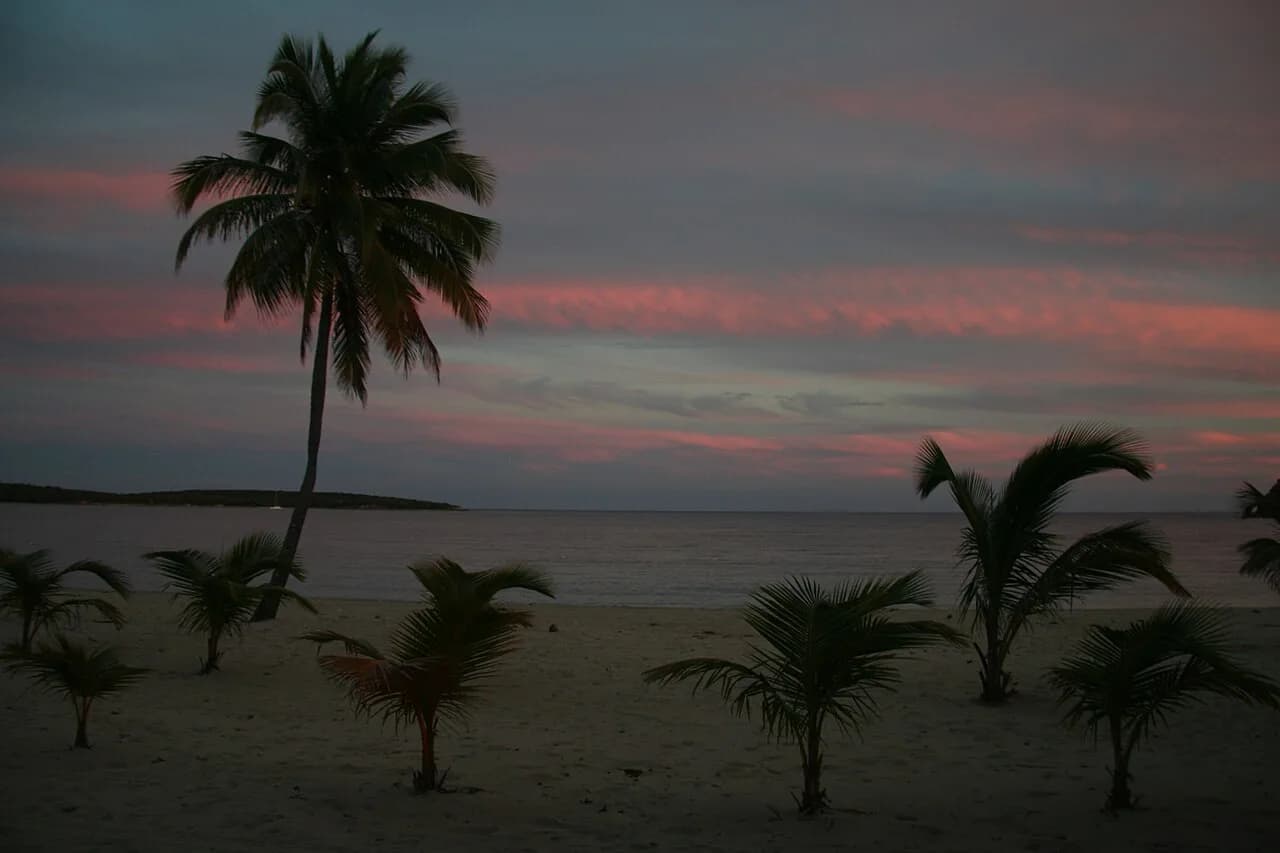 Bioluminescent Bay Puerto Rico With Kids: Best Bays & Age Tips