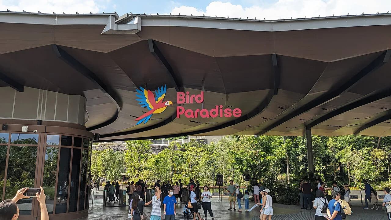 Bird Paradise Singapore With Kids: 2026 Family Guide