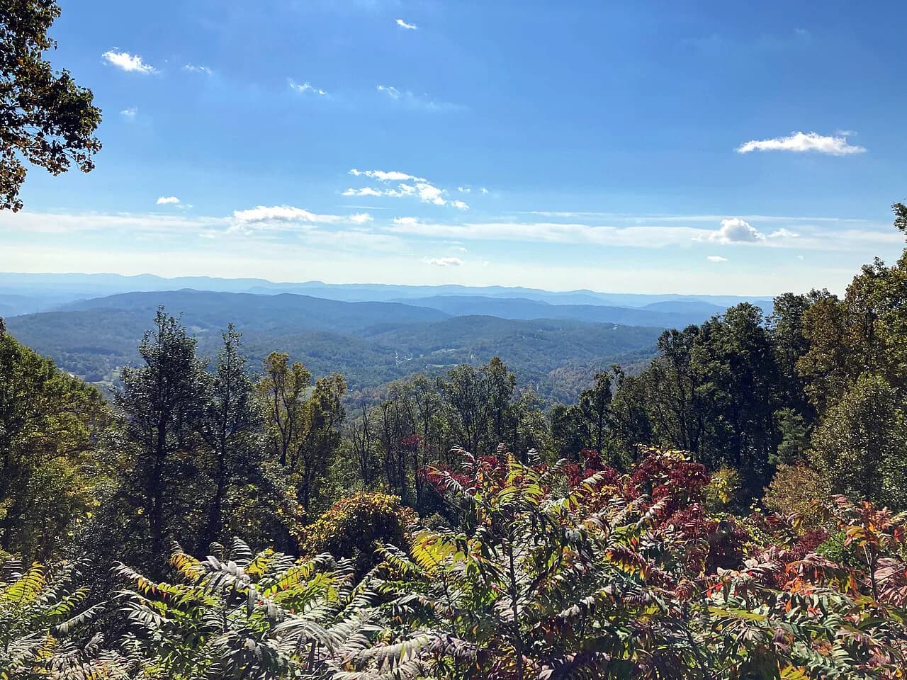 Blue Ridge Parkway With Kids: Best Stops, Hikes & Family Tips
