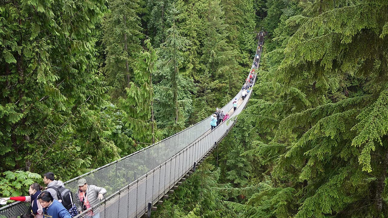 Capilano Suspension Bridge with Kids: A Parent's Survival and Logistics Guide
