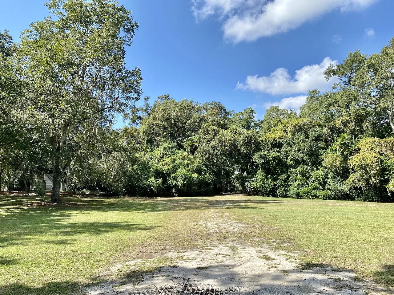 Charleston Plantations with Kids: A Practical Family Guide for 2026