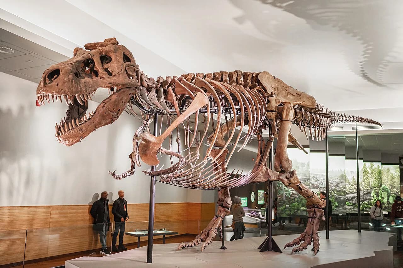Chicago Museum Campus with Kids: The Ultimate Family Guide