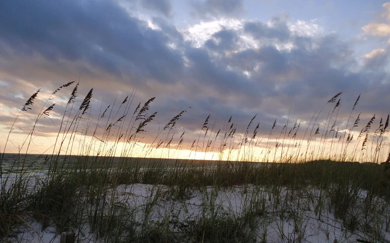 5 Best Beaches in Destin for Kids (2026 Parent's Guide)