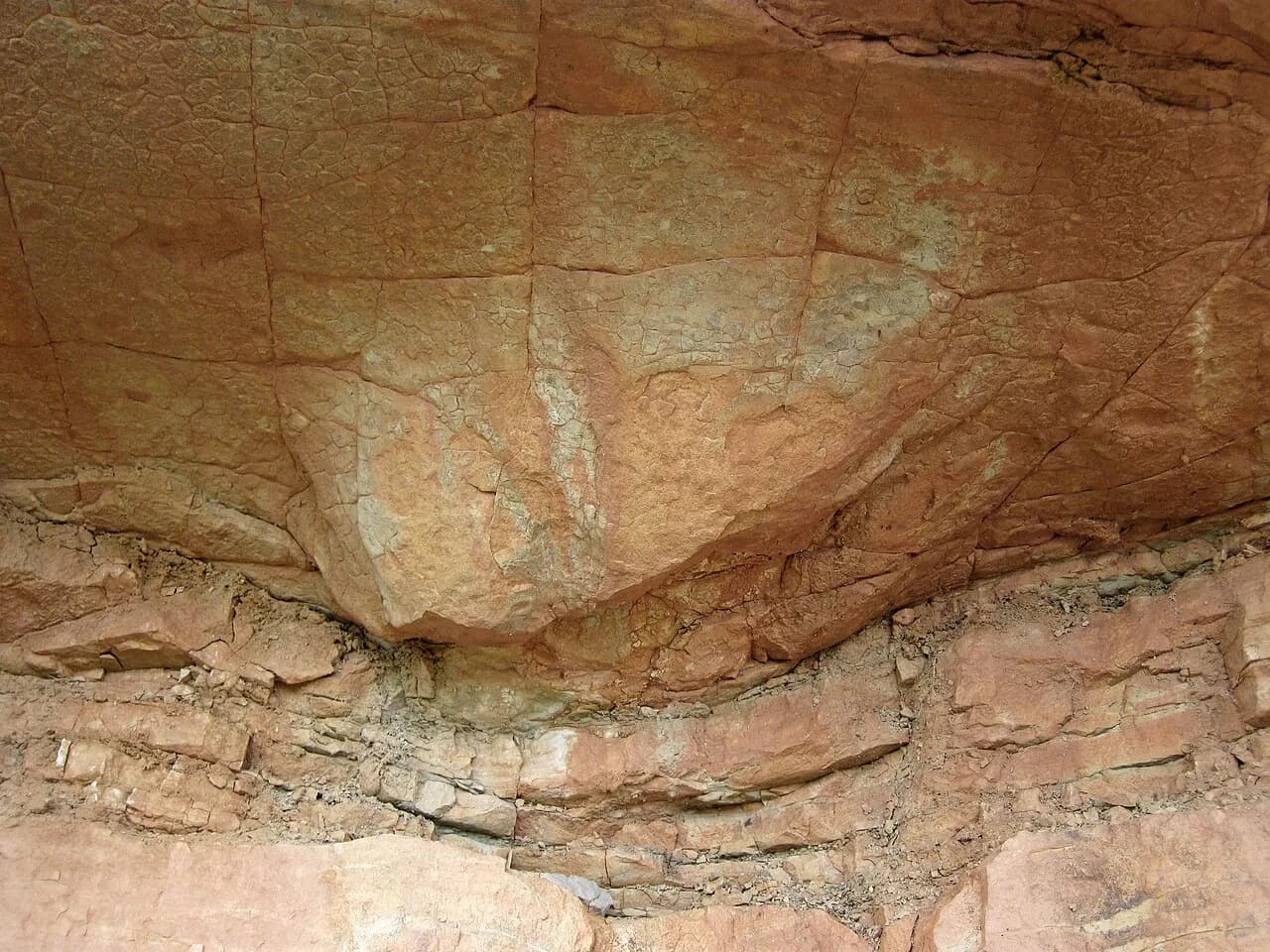 Dinosaur Ridge with Kids: Bus Tour vs. Walk, Prices & Tips (2026)