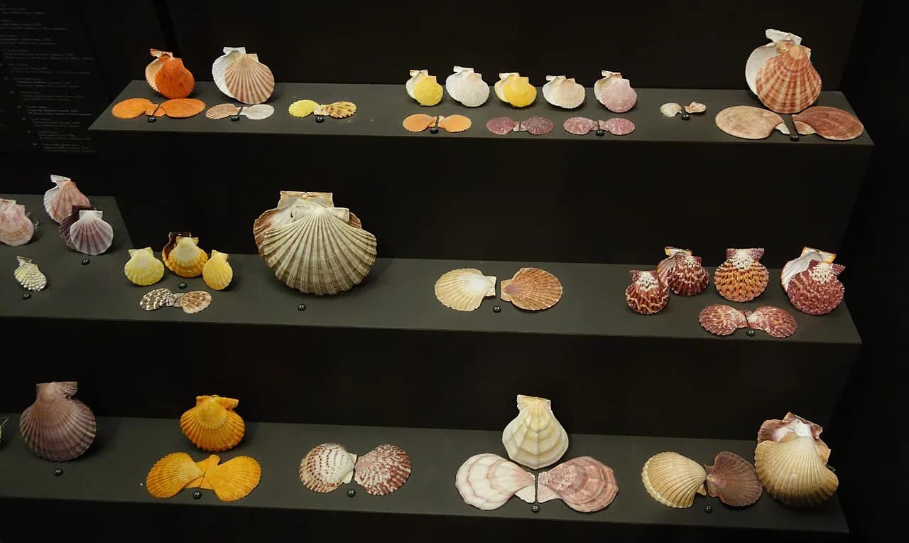 Fernbank Museum with Kids: The Complete 2026 Parent's Guide