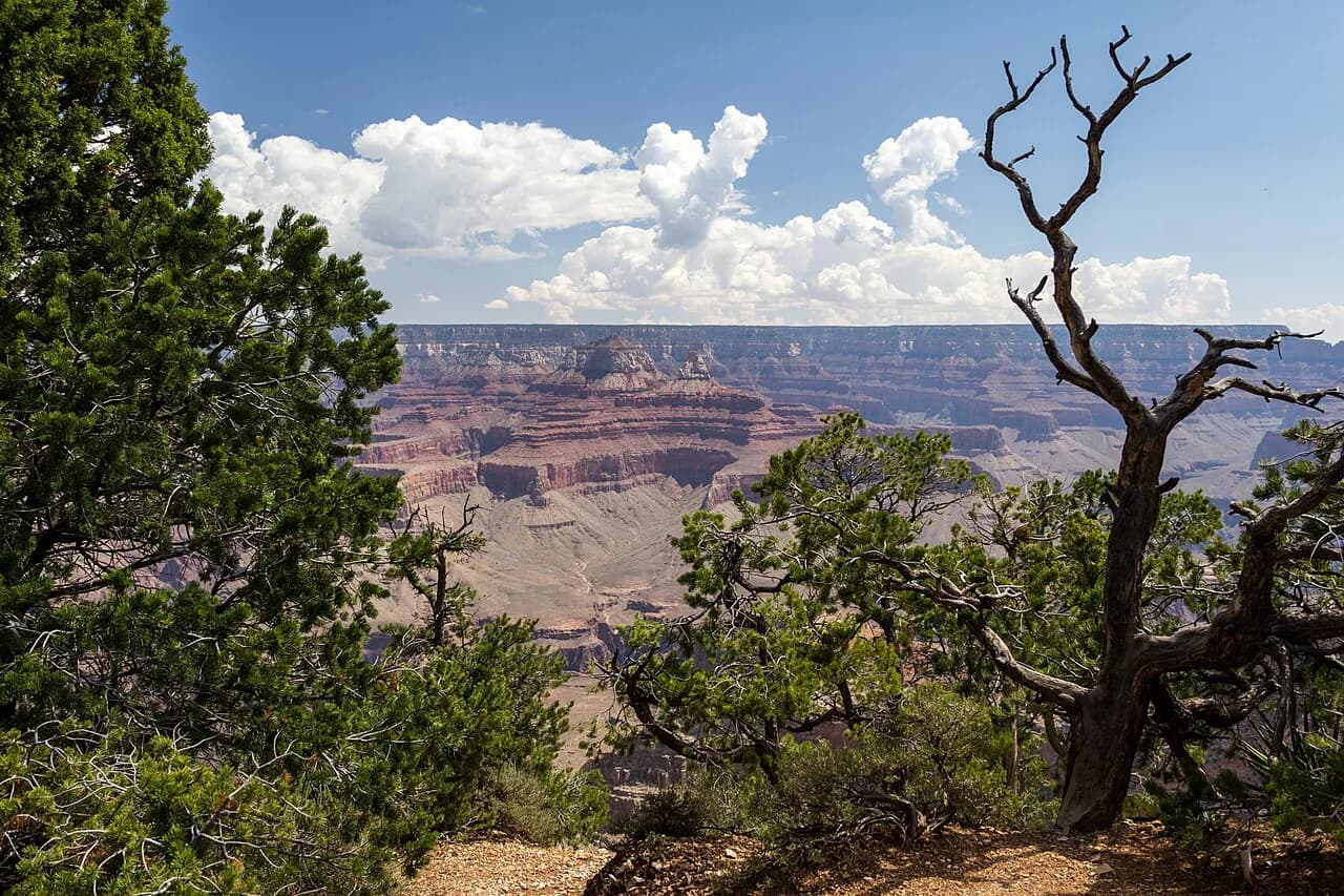 Grand Canyon with Kids: The Ultimate Family Planning Guide