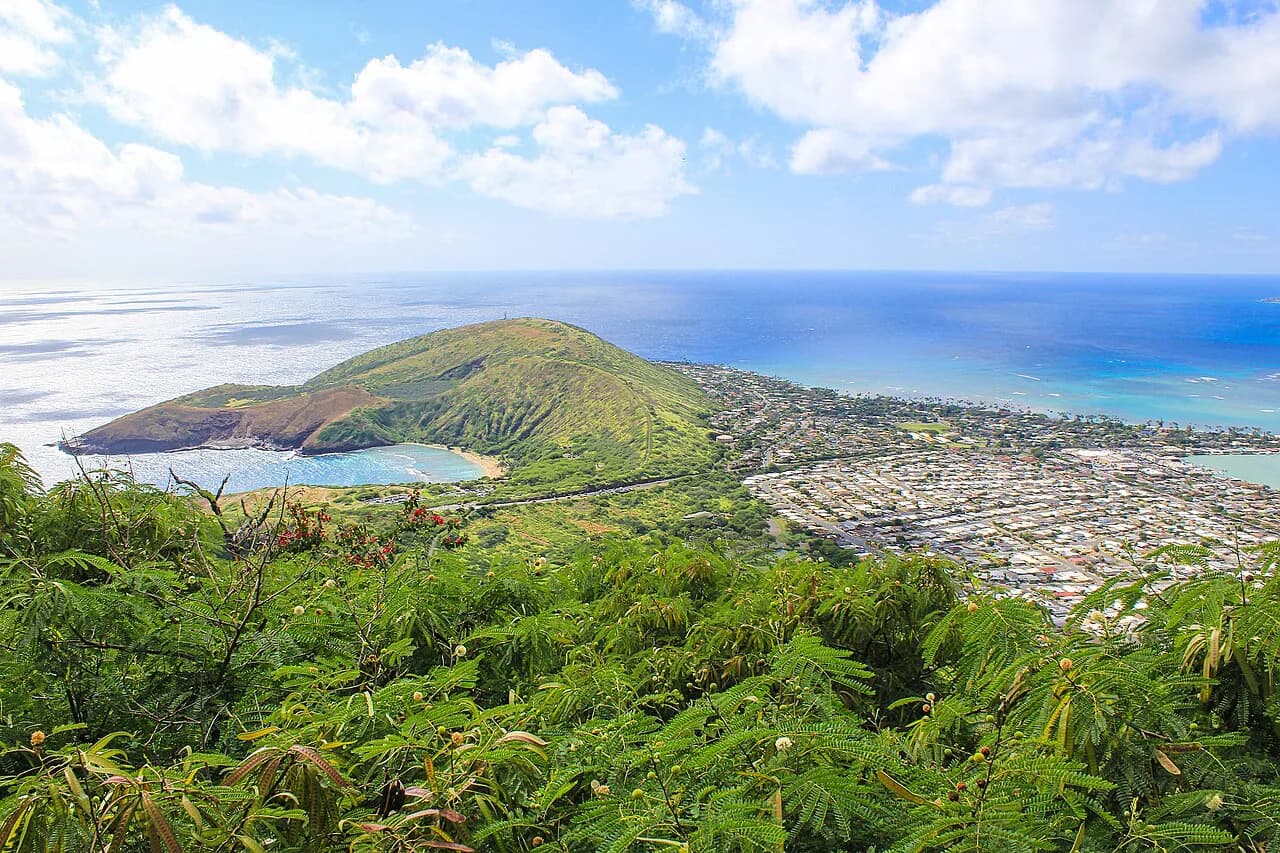 Hanauma Bay With Kids: 2026 Parent's Guide to Reservations & Snorkeling