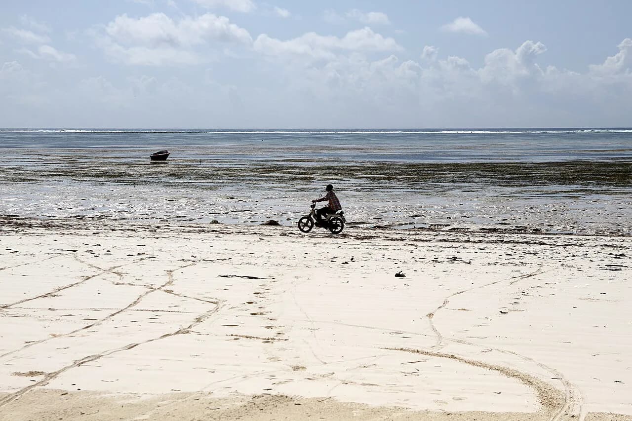 Hilton Head Bike Trails with Kids: A Parent's Guide to the Best Routes