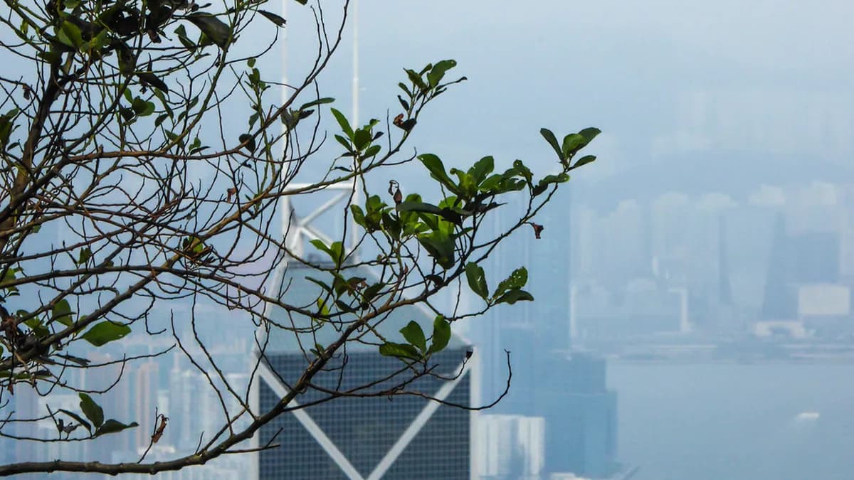 Hong Kong with kids