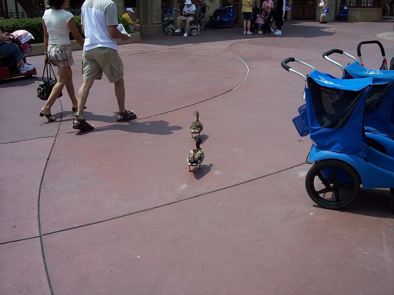 Magic Kingdom With Toddlers: Best Rides, Logistics & Survival Guide