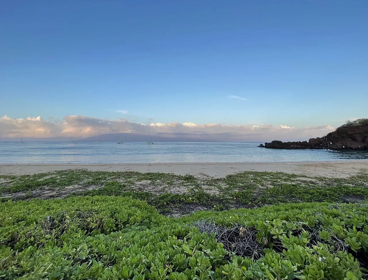 8 Best Things to Do in Maui With Kids in 2026 (Family Guide)