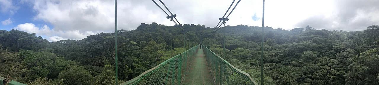 Monteverde With Kids: A Complete Family Guide to the Cloud Forest