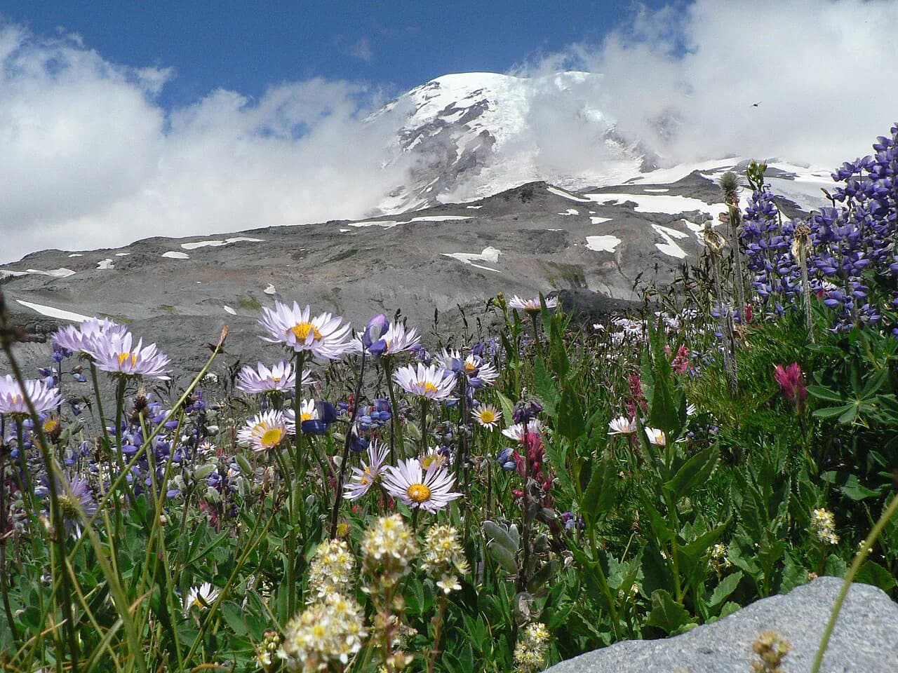 Mount Rainier Day Trip With Kids: A Realistic 2026 Itinerary