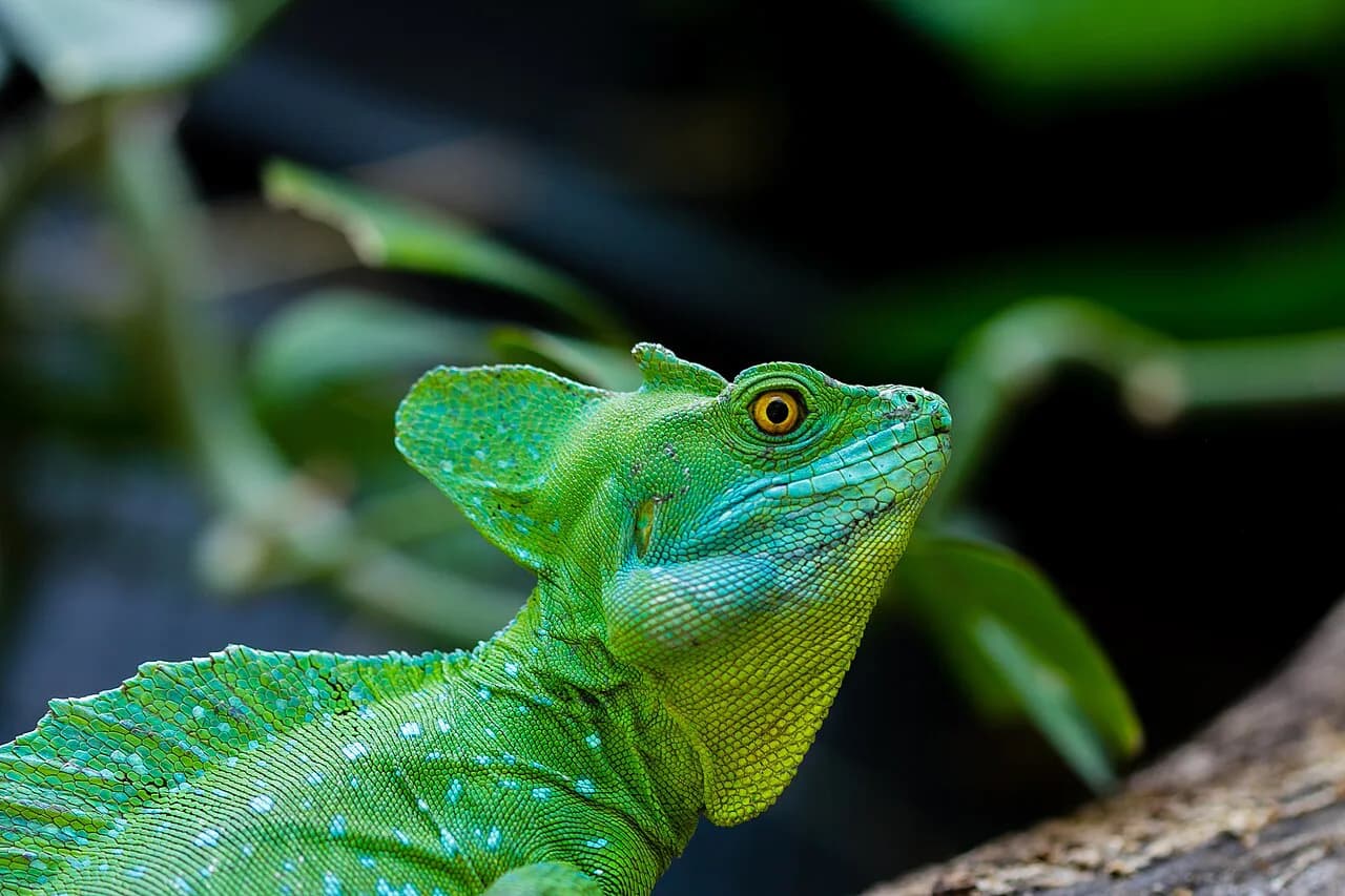 Nashville Zoo With Kids: The 2026 Parent's Planning Guide