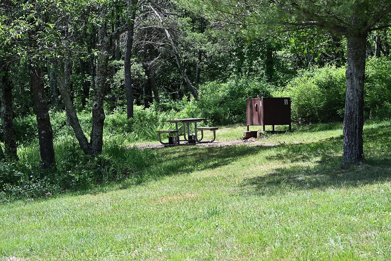 National Park Camping With Kids: The 2026 Planning Guide