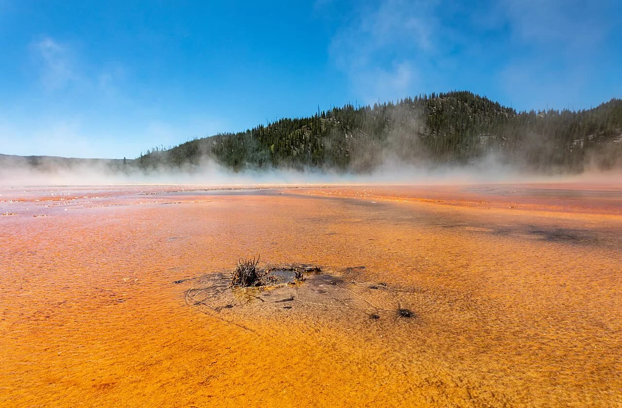 12 Best National Parks With Kids: A 2026 Family Planning Guide