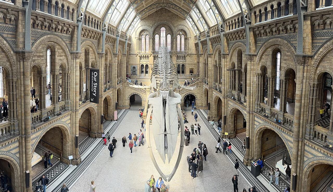 Natural History Museum London with Kids: Survival Guide & Highlights