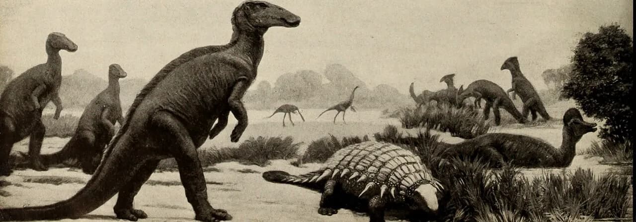 Natural History Museum NYC With Kids: The Complete AMNH Family Guide
