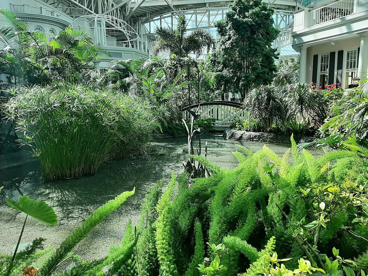 Gaylord Opryland with Kids: The Complete 2026 Family Guide