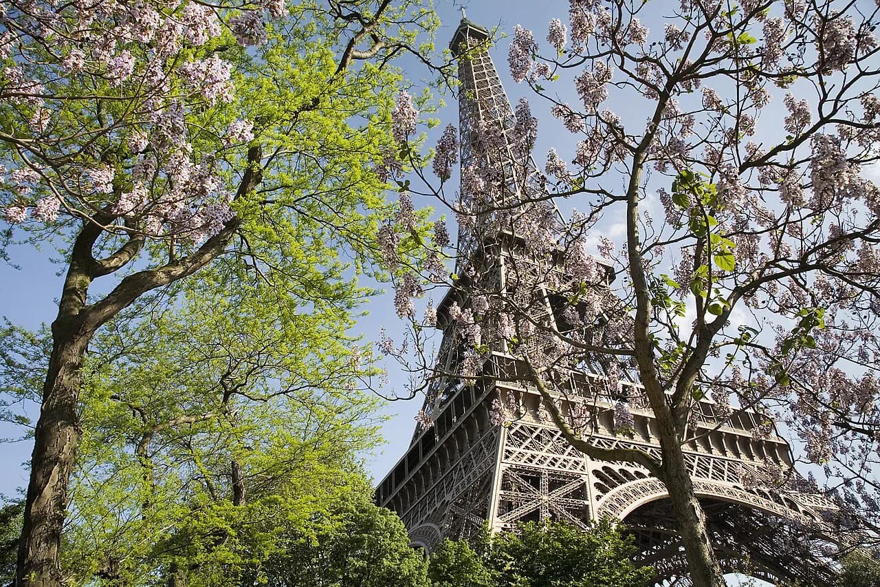 8 Best Things to Do in Paris With Kids: 2026 Family Guide