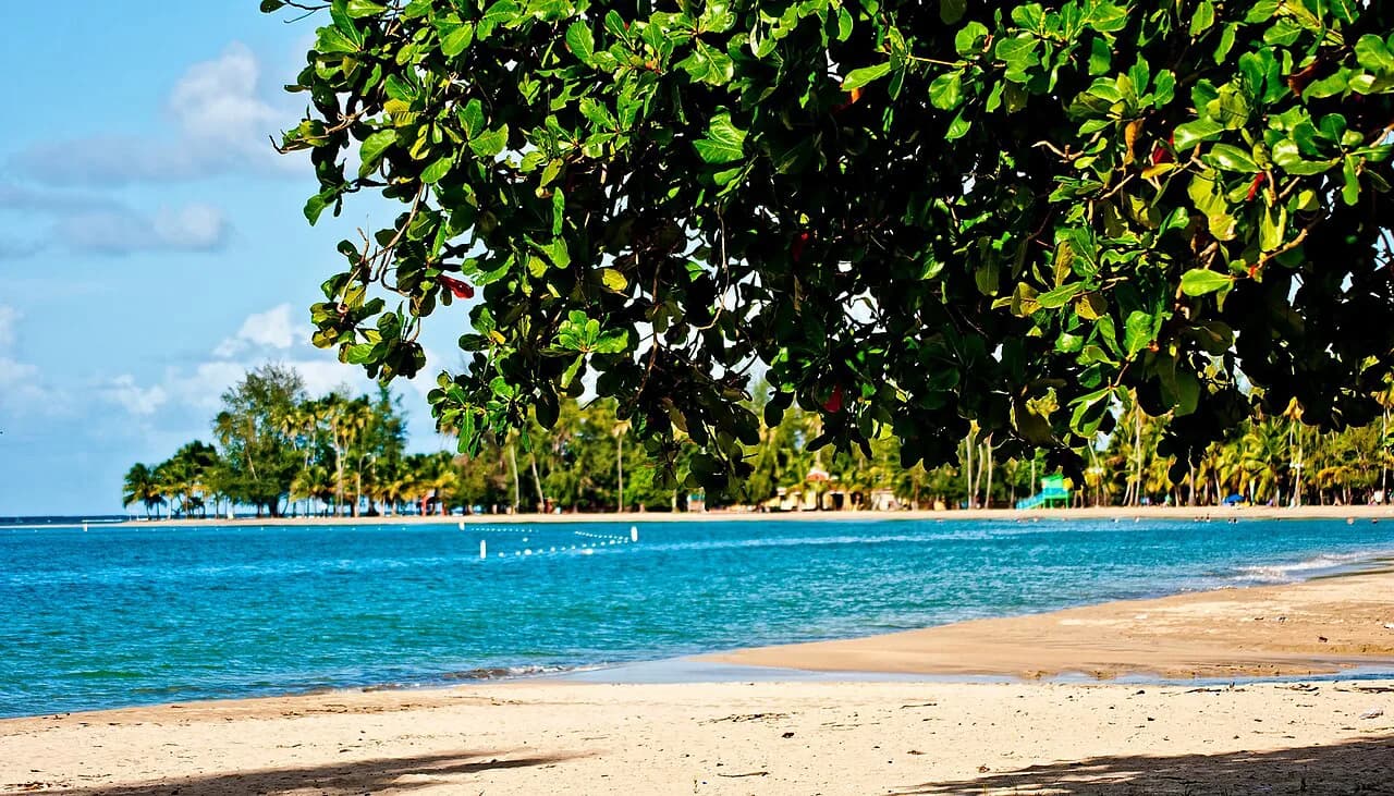 8 Best Puerto Rico Beaches for Kids in 2026 (Calm Water & Family Tips)