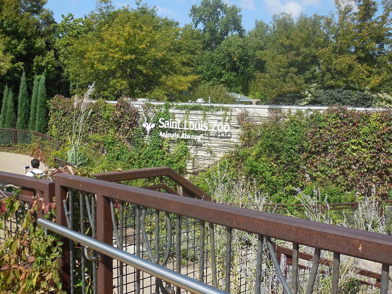 Saint Louis Zoo With Kids: Costs, Timing, and Must-See Exhibits (2026 Guide)