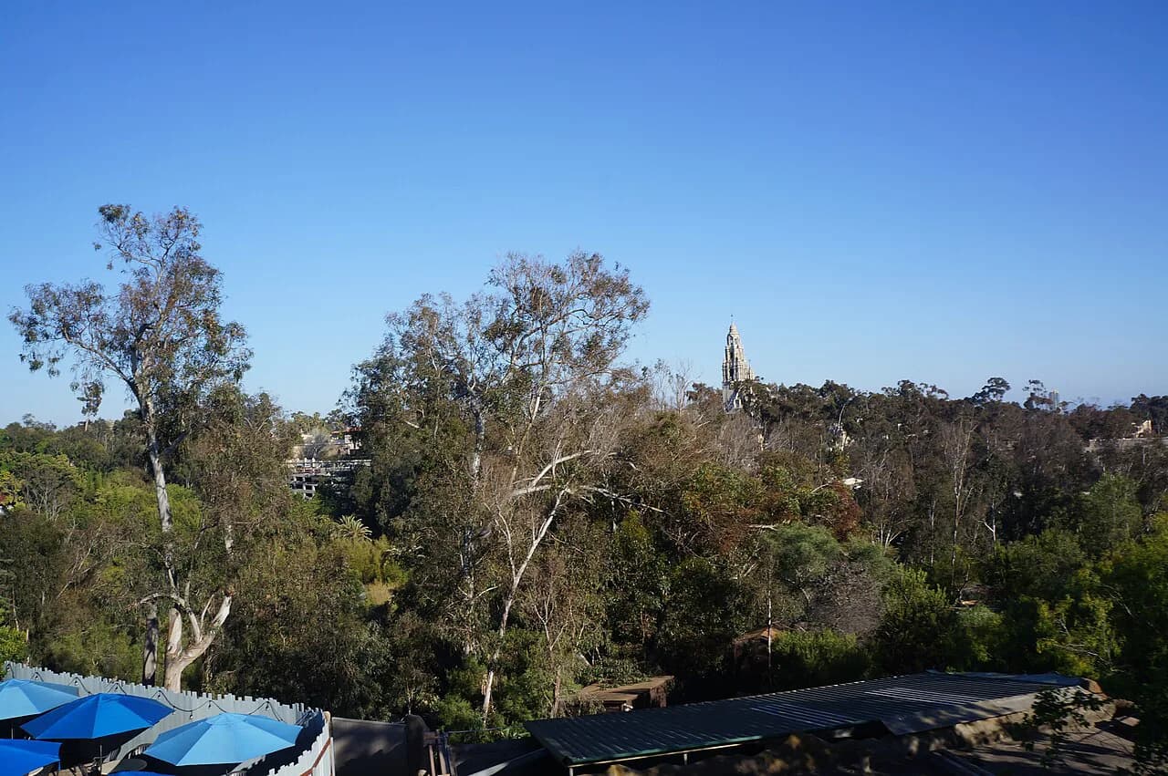 San Diego Zoo With Kids: The Ultimate Survival & Planning Guide