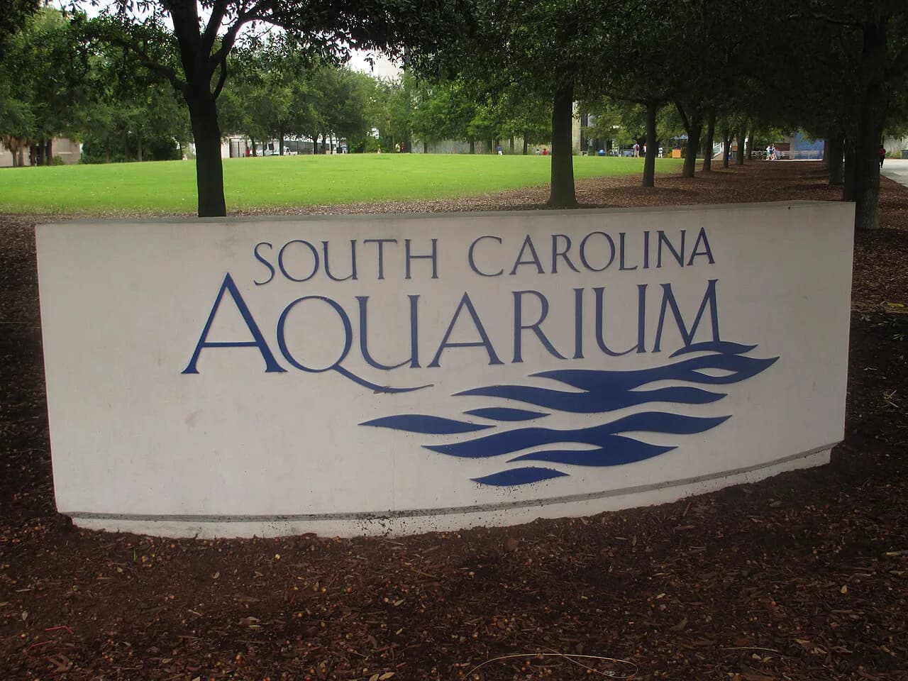 South Carolina Aquarium With Kids: A Parent's Guide (2026)