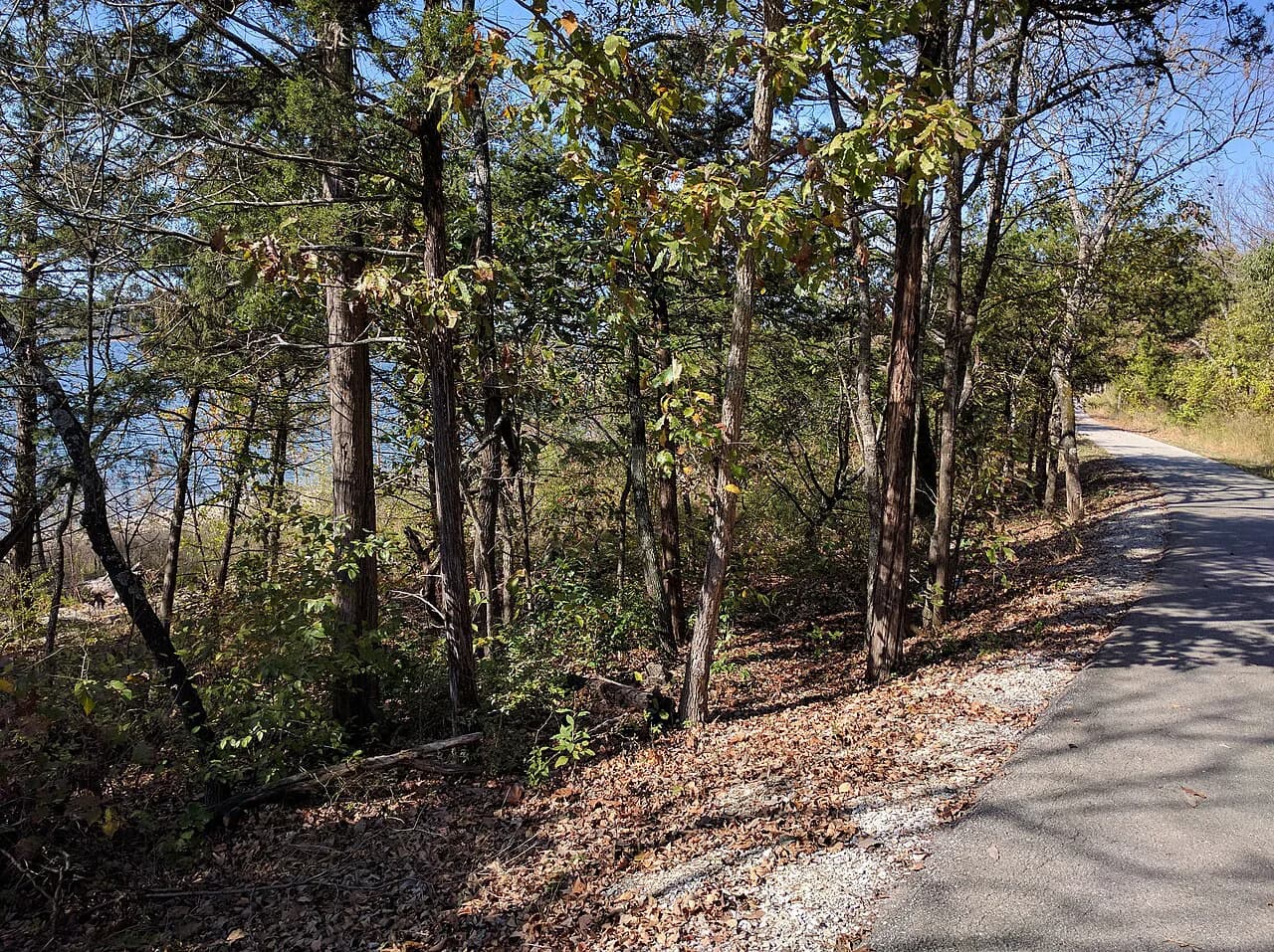 Table Rock Lake With Kids: A Family Planning Guide for 2026