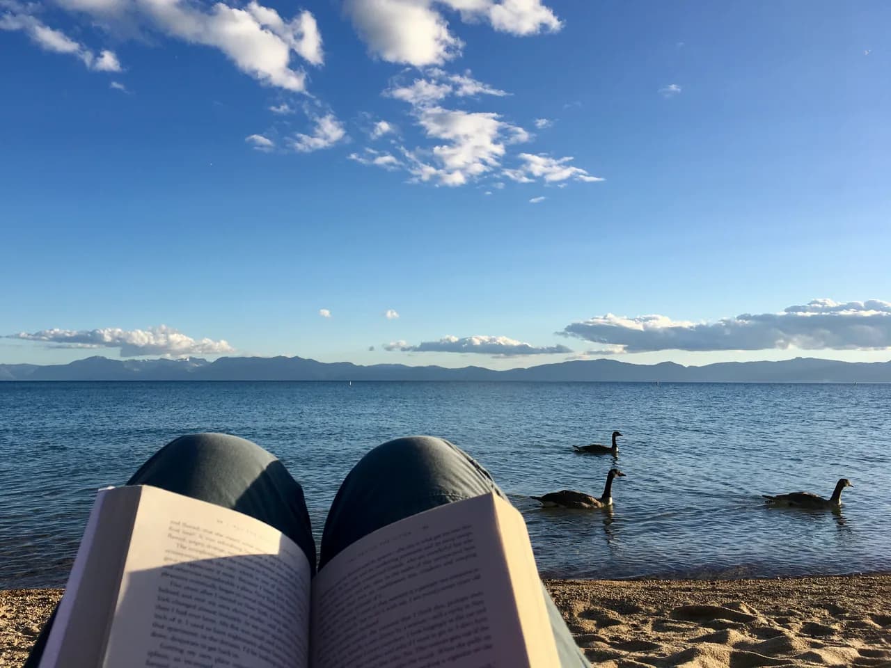 Lake Tahoe Beaches for Kids: Best Family Beaches by Shore (2026)