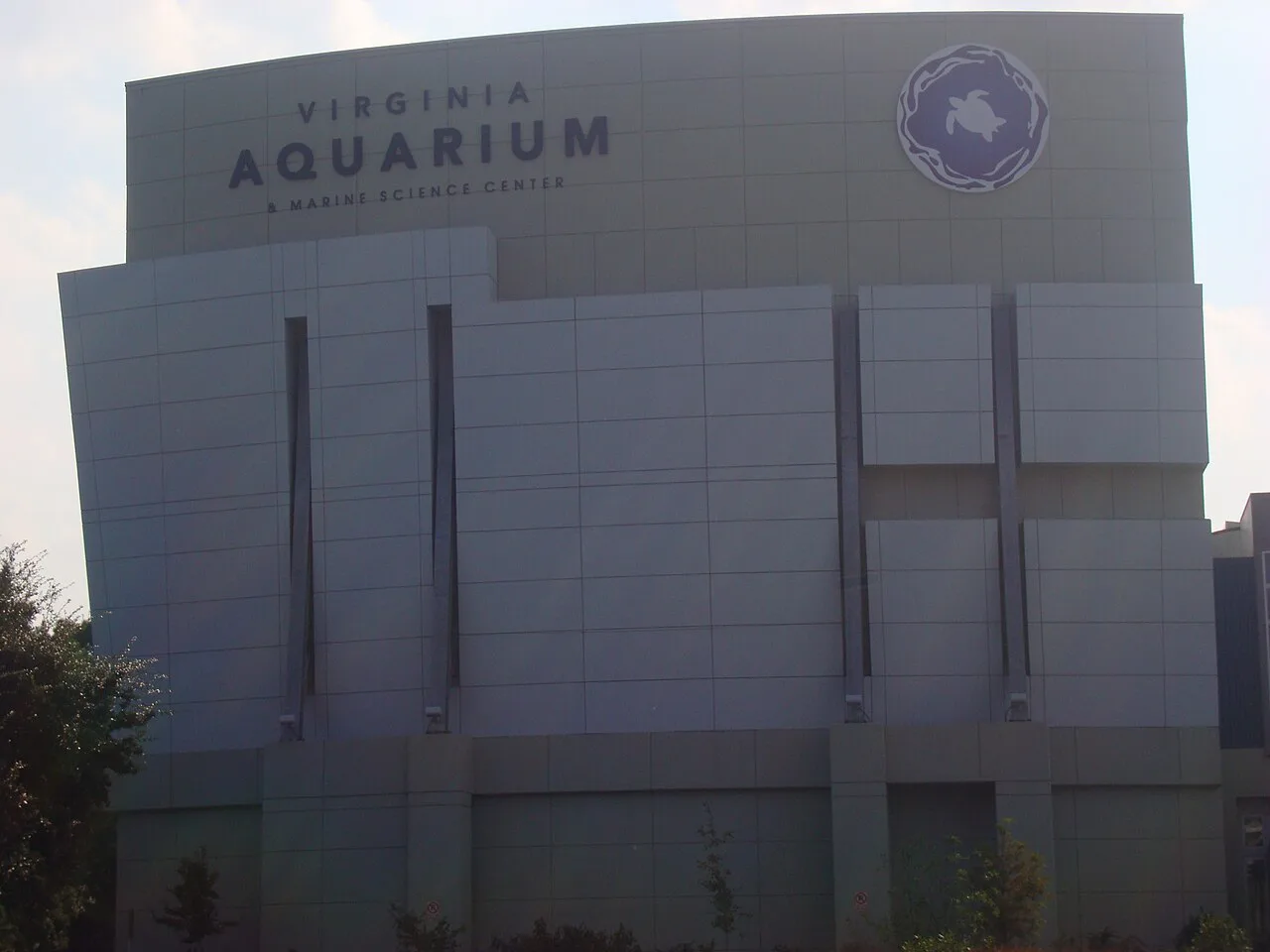 Virginia Aquarium With Kids: The Complete Parents' Guide (2026)