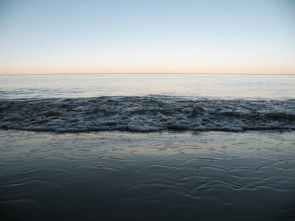 Virginia Beach with Toddlers: A Stress-Free 2026 Guide