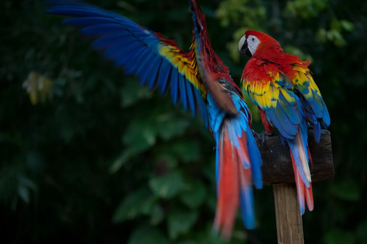 Xcaret with Kids: Which Park, Casa, and Itinerary Fit Your Family (2026)
