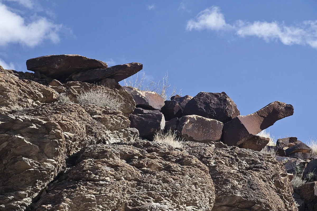 -conservationlands15 Social Media Takeover August 15th Bucket List (20564114066) — 2