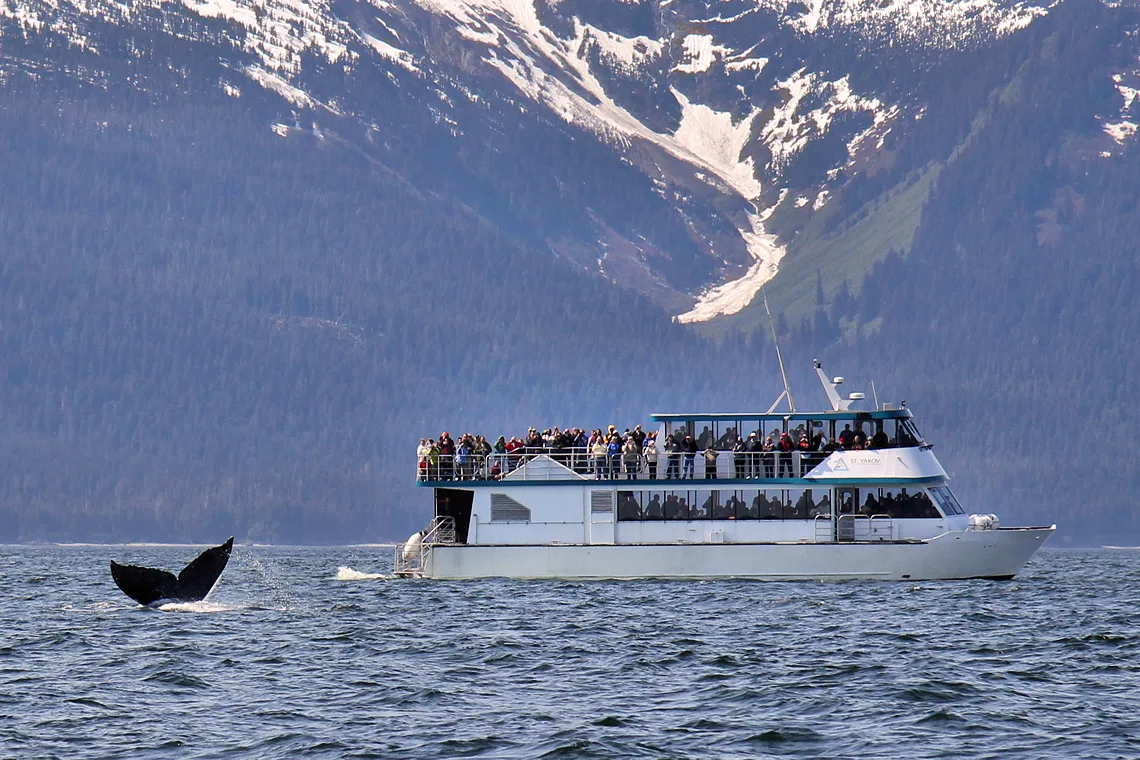 Cruise ship sailing past a glacier in Alaska's Inside Passage — 2
