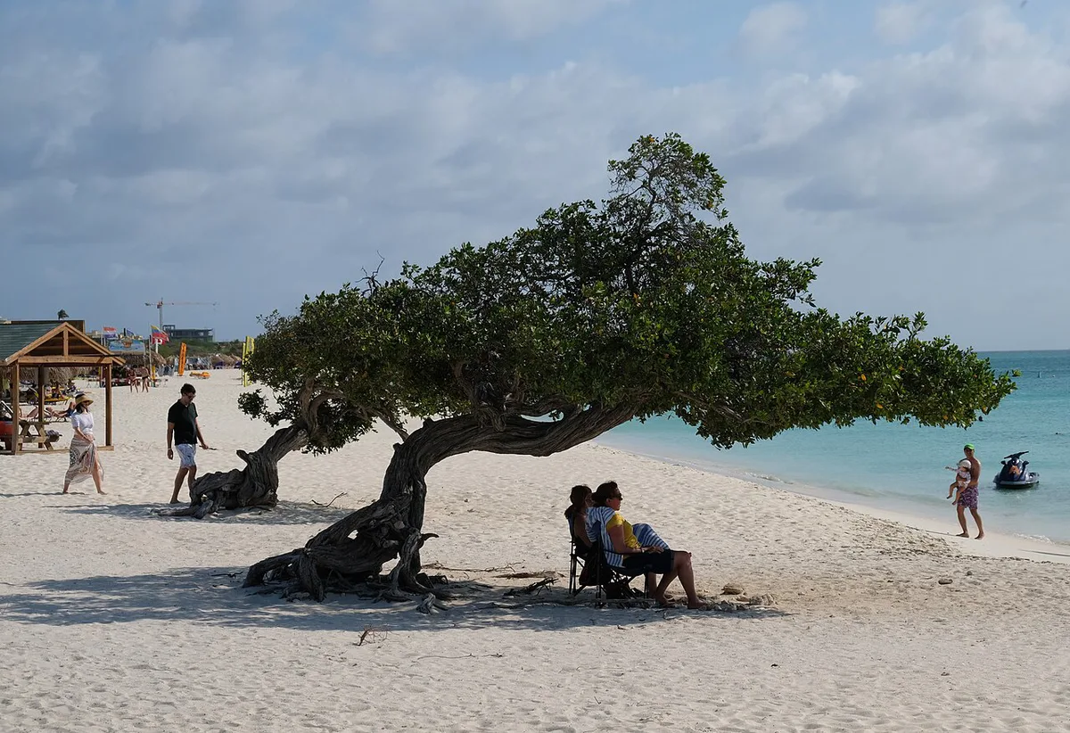 Shallow turquoise lagoon and white sand at Baby Beach, Aruba — 1