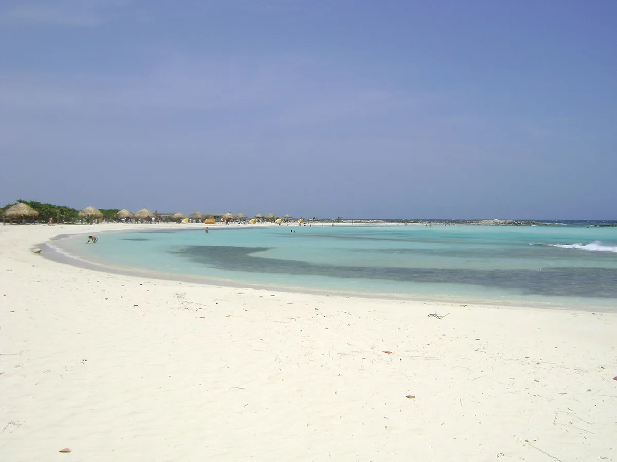 Fofoti tree leaning over white sand and turquoise water at Eagle Beach, Aruba — 2