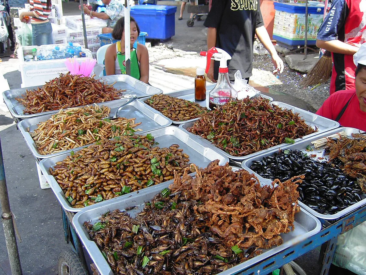 Insect food stall — 2