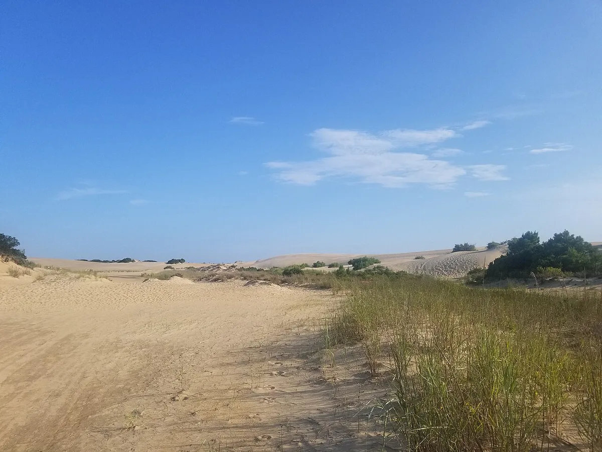Sand dunes of the outer banks — 1