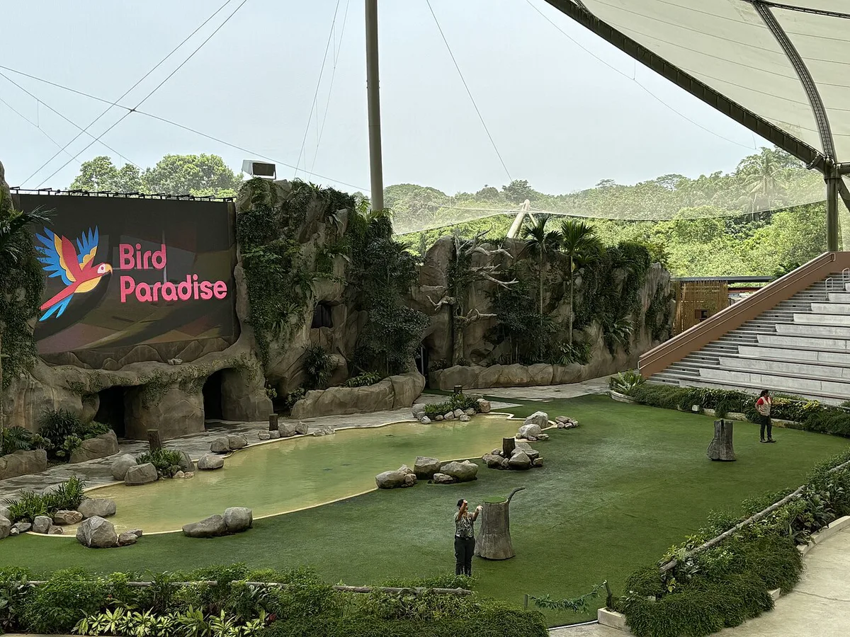 Penguins swimming at Penguin Cove in Bird Paradise, Mandai, Singapore — 1