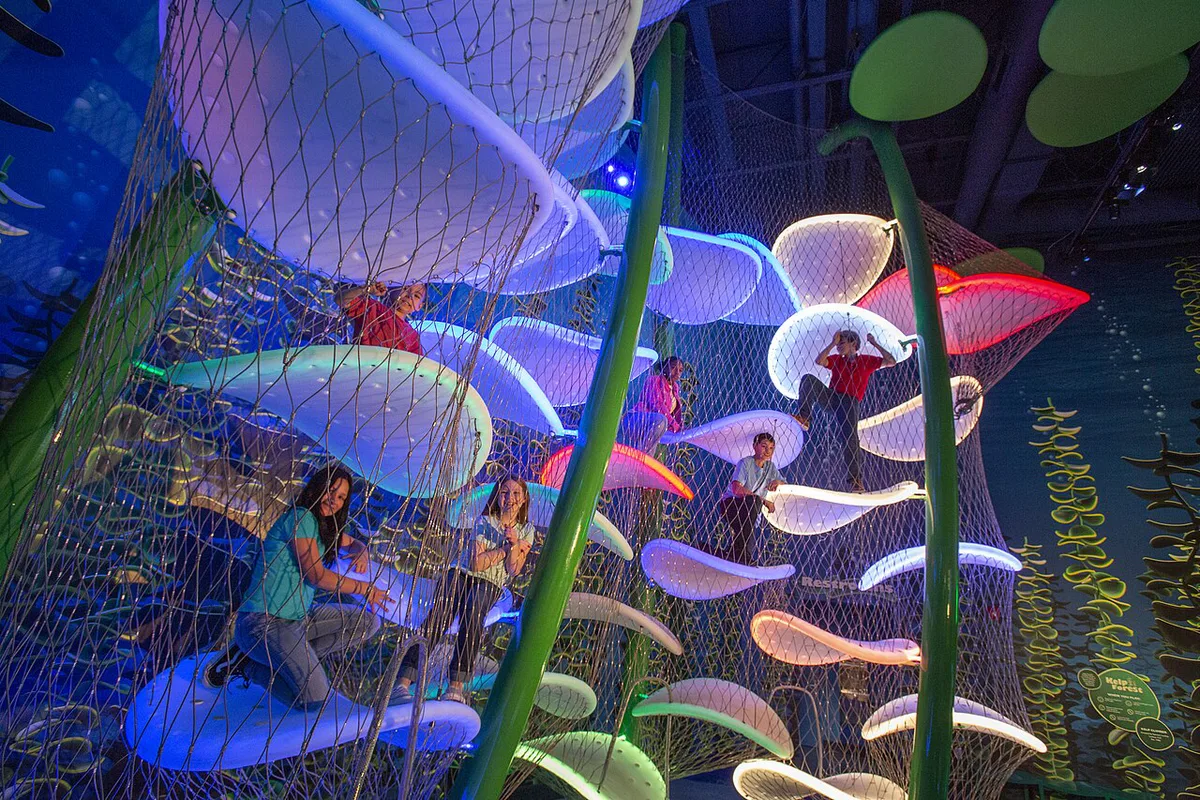 Aquarium at the Boardwalk Kelp Forest Climber — 2