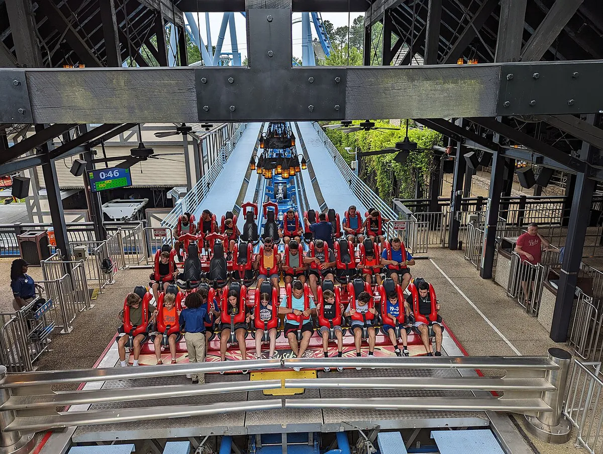 Roller coaster over trees at Busch Gardens Williamsburg — 2