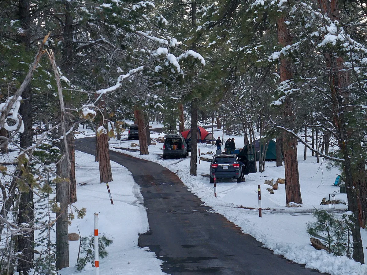 Family tent pitched at a wooded campground with kids playing nearby — 1