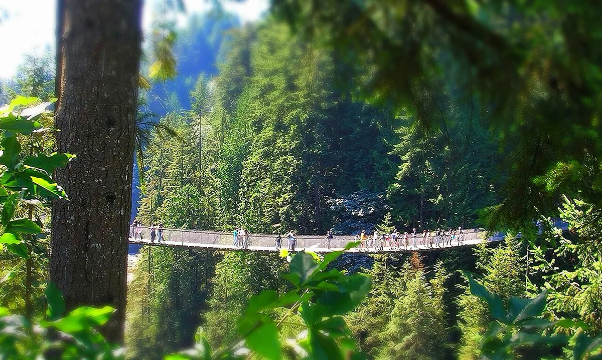 Capilano Suspension Bridge stretching across the forested canyon — 1