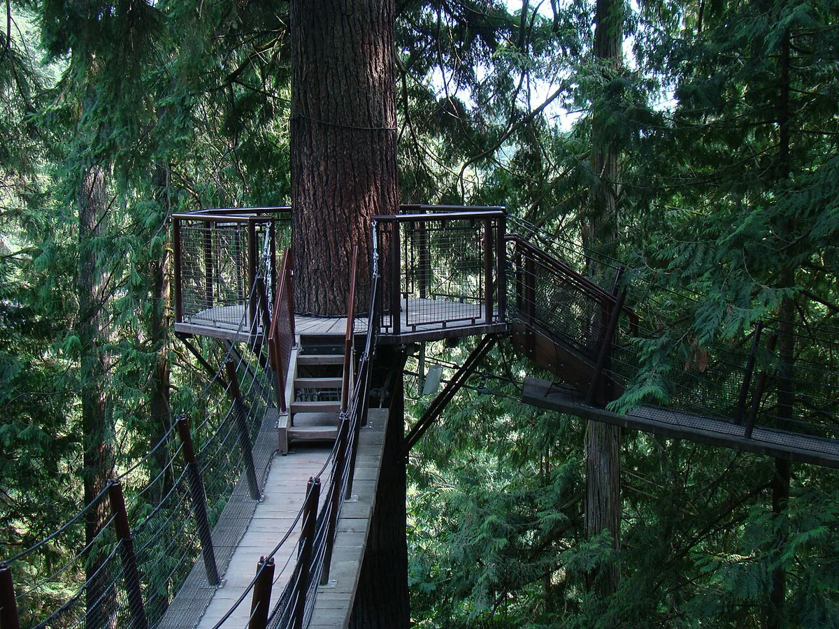 Capilano Suspension Bridge stretching across the forested canyon — 2